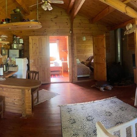 Pikkjaerve Puhkemaja Villa Tilsi Dış mekan fotoğraf