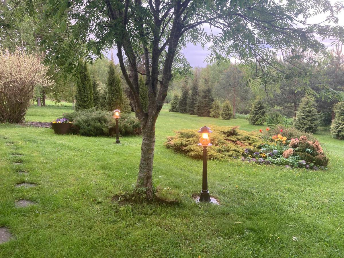 Pikkjaerve Puhkemaja Villa Tilsi Dış mekan fotoğraf