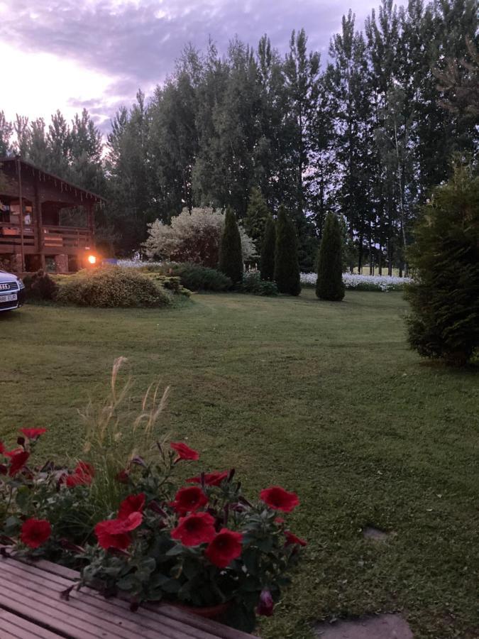 Pikkjaerve Puhkemaja Villa Tilsi Dış mekan fotoğraf